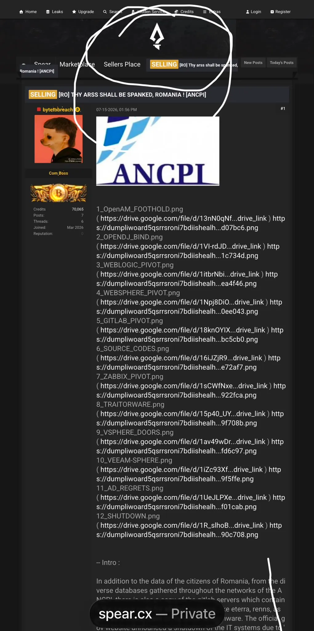 DEZASTRU LA ANCPI! 